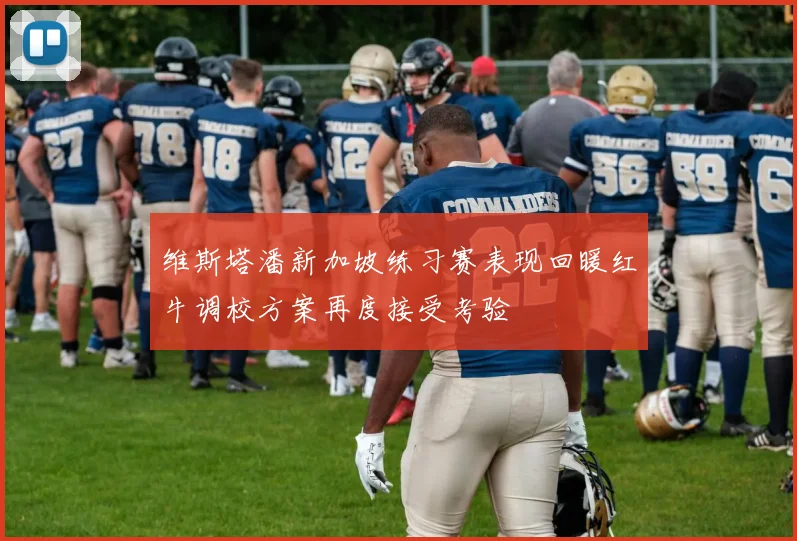 维斯塔潘新加坡练习赛表现回暖红牛调校方案再度接受考验
