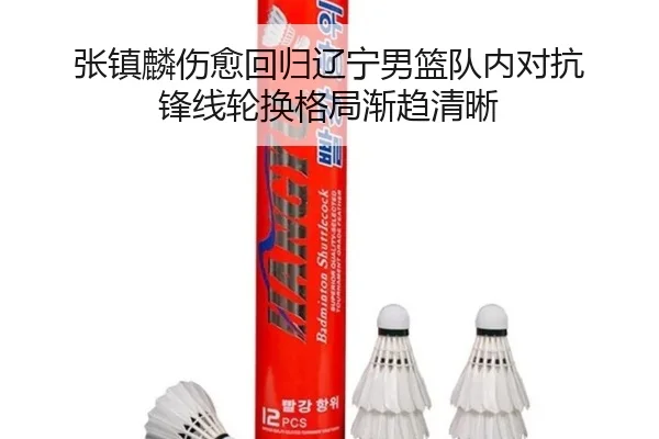 张镇麟伤愈回归辽宁男篮队内对抗 锋线轮换格局渐趋清晰