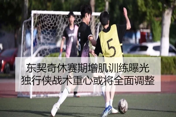 东契奇休赛期增肌训练曝光 独行侠战术重心或将全面调整