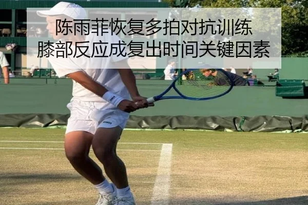陈雨菲恢复多拍对抗训练 膝部反应成复出时间关键因素