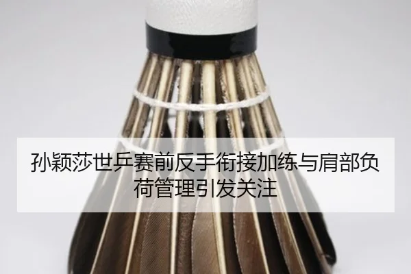 孙颖莎世乒赛前反手衔接加练与肩部负荷管理引发关注